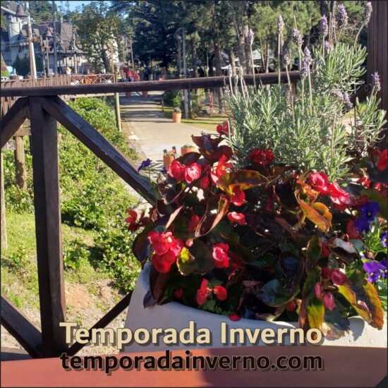 Inverno Brasileiro: do frio do sul ao sol do Nordeste, uma estação rica em contrastes e oportunidades