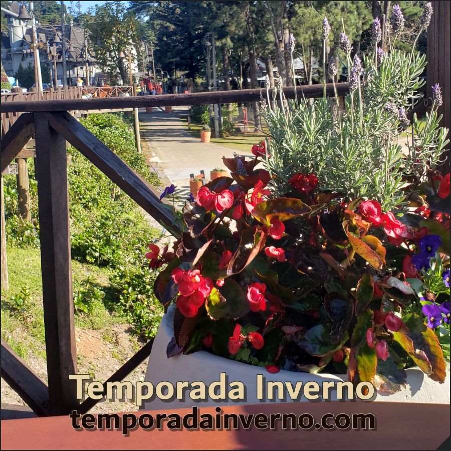 Inverno Brasileiro: do frio do sul ao sol do Nordeste, uma estação rica em contrastes e oportunidades